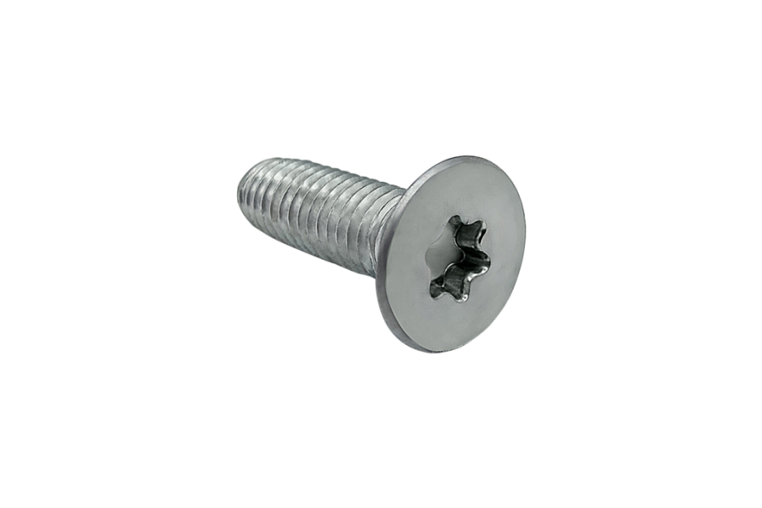 Gewindefurchende Schraube DIN 7500 Form ME Torx Gewindefurchende Schraube DIN 7500 Form ME Torx